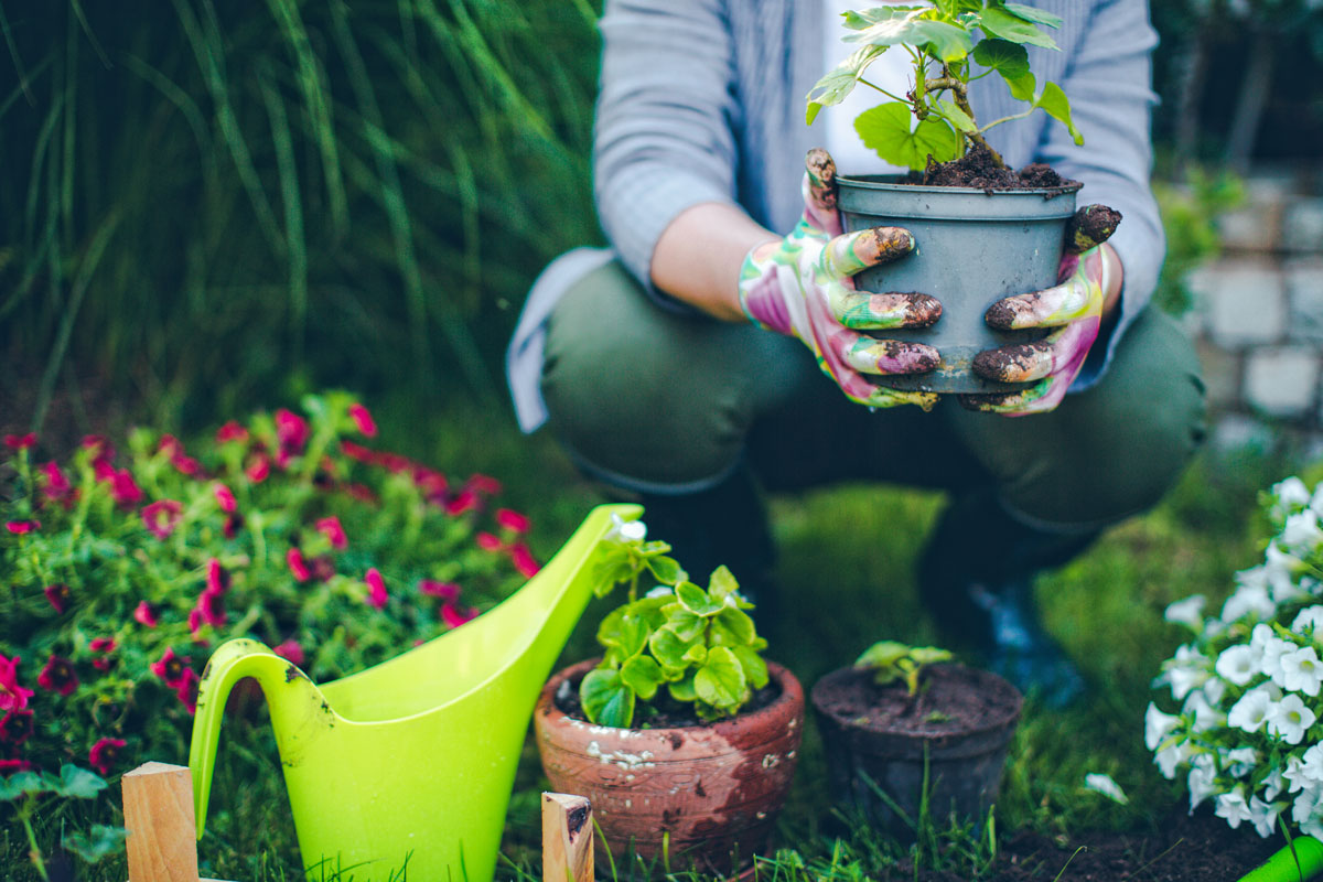 Preparing your Plumbing for the warm days ahead